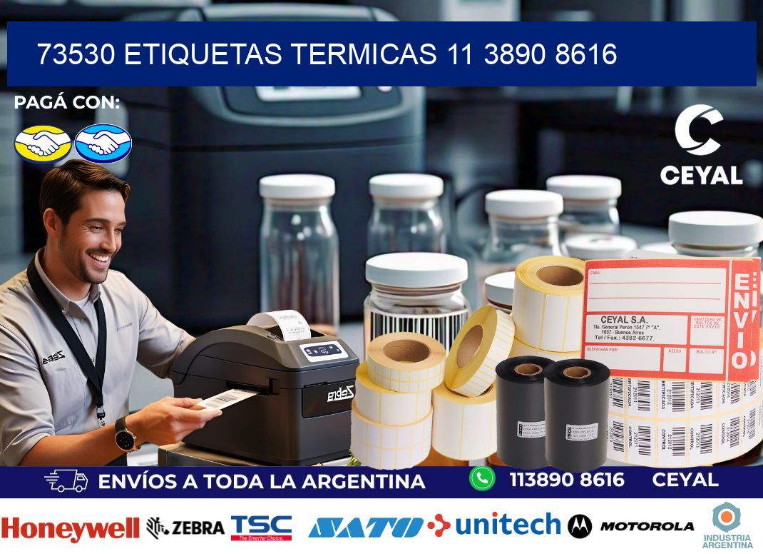 73530 ETIQUETAS TERMICAS 11 3890 8616