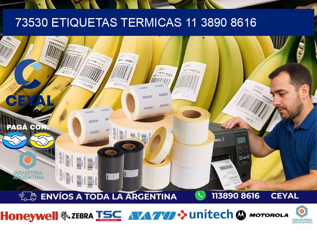 73530 ETIQUETAS TERMICAS 11 3890 8616