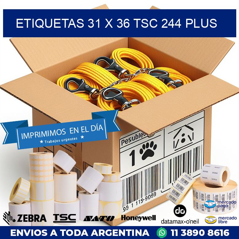 ETIQUETAS 31 x 36 TSC 244 PLUS