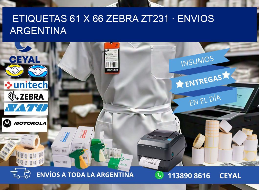 ETIQUETAS 61 x 66 ZEBRA ZT231 · ENVIOS ARGENTINA