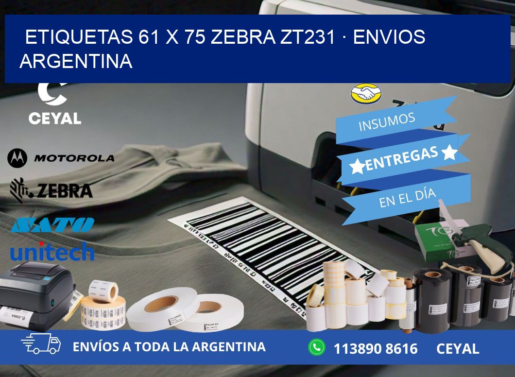 ETIQUETAS 61 x 75 ZEBRA ZT231 · ENVIOS ARGENTINA