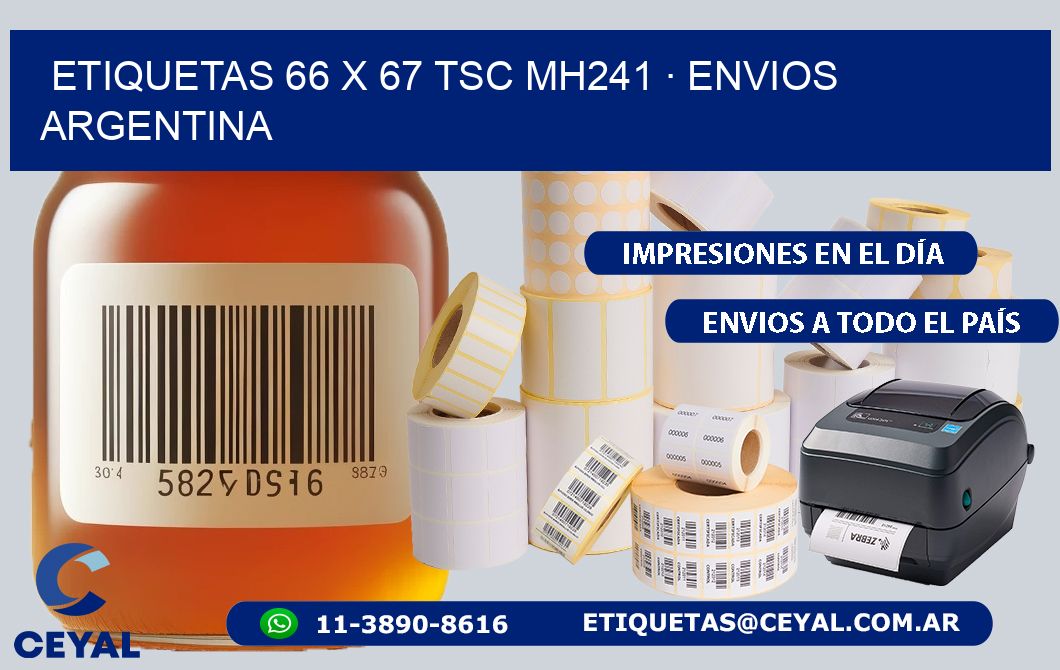 ETIQUETAS 66 x 67 TSC MH241 · ENVIOS ARGENTINA