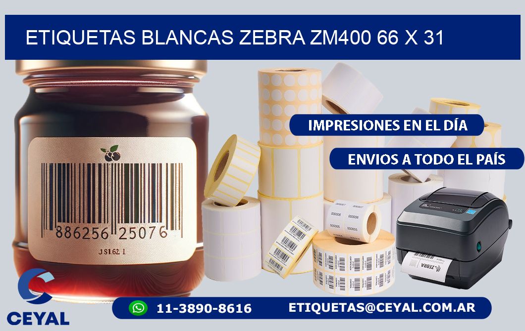 ETIQUETAS BLANCAS ZEBRA ZM400 66 x 31