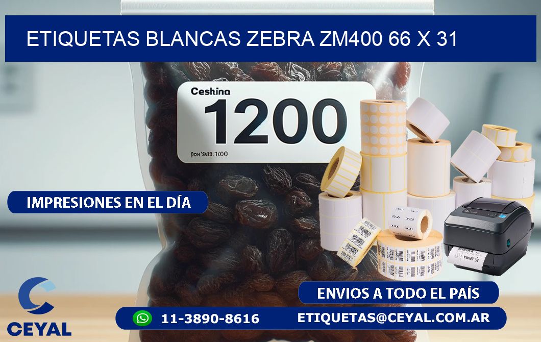 ETIQUETAS BLANCAS ZEBRA ZM400 66 x 31
