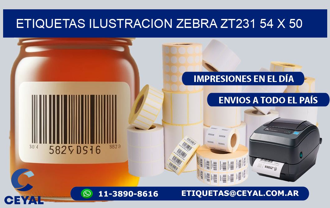 ETIQUETAS ILUSTRACION ZEBRA ZT231 54 x 50