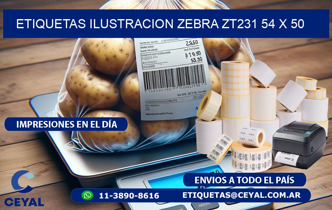 ETIQUETAS ILUSTRACION ZEBRA ZT231 54 x 50