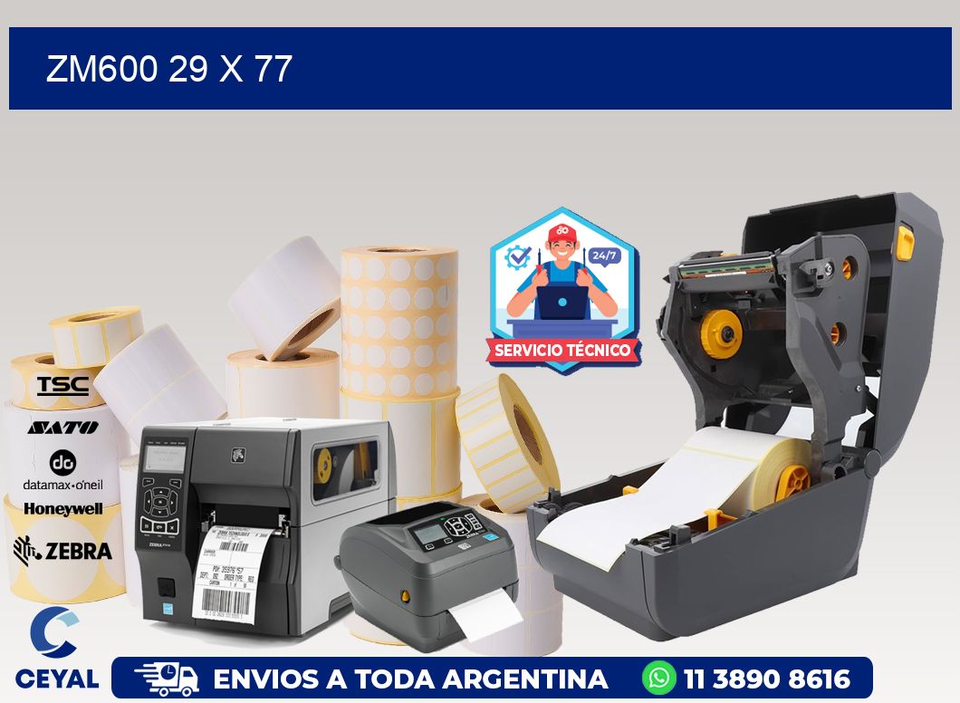 ZM600 29 x 77