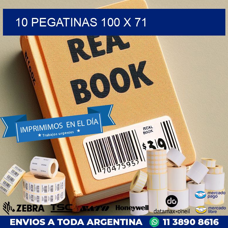 10 PEGATINAS 100 x 71