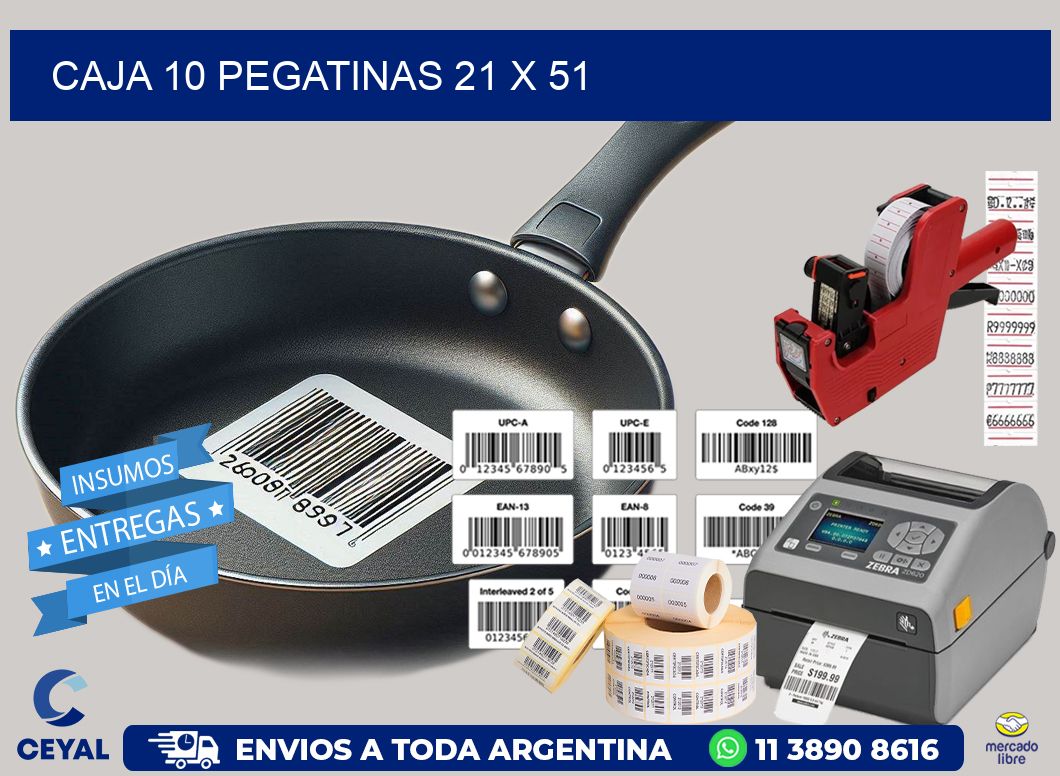 CAJA 10 PEGATINAS 21 x 51