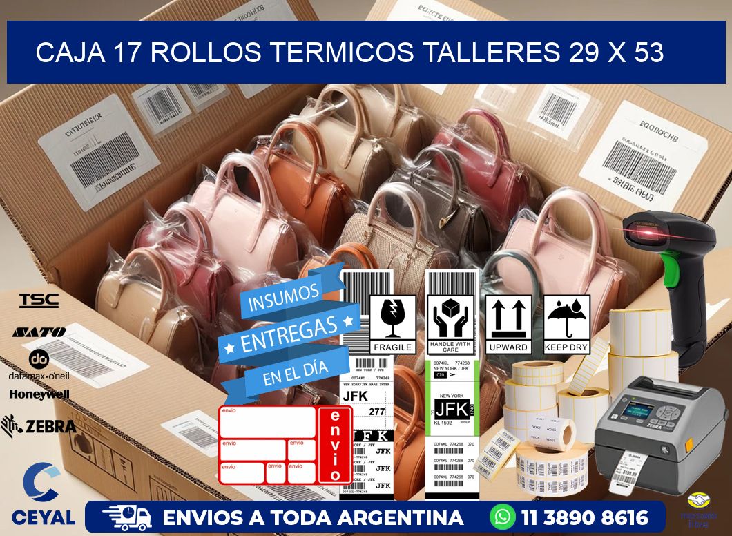 CAJA 17 ROLLOS TERMICOS TALLERES 29 x 53