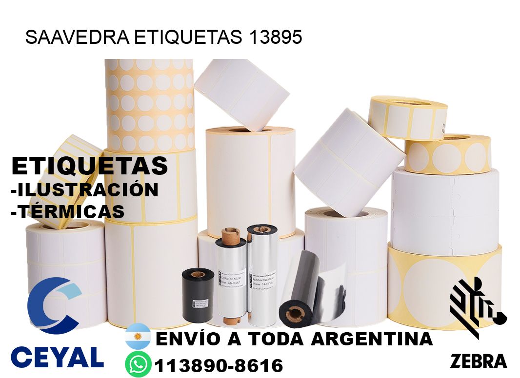 Saavedra etiquetas 13895