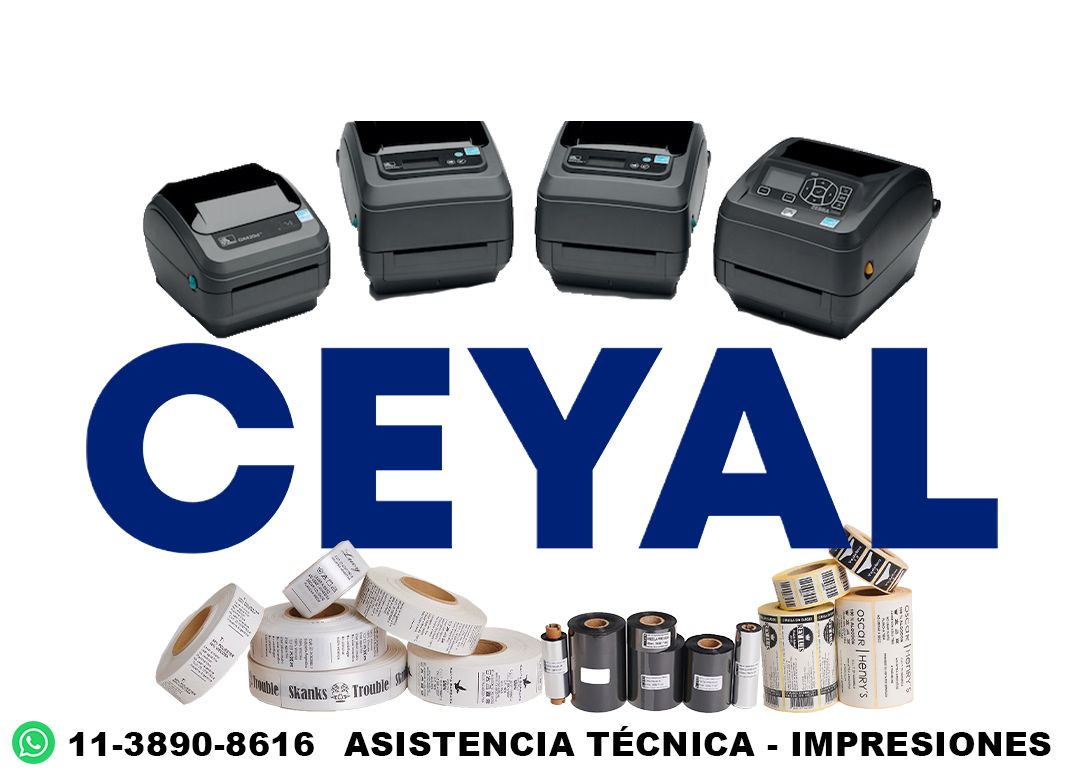 25640 Impresora térmica textil