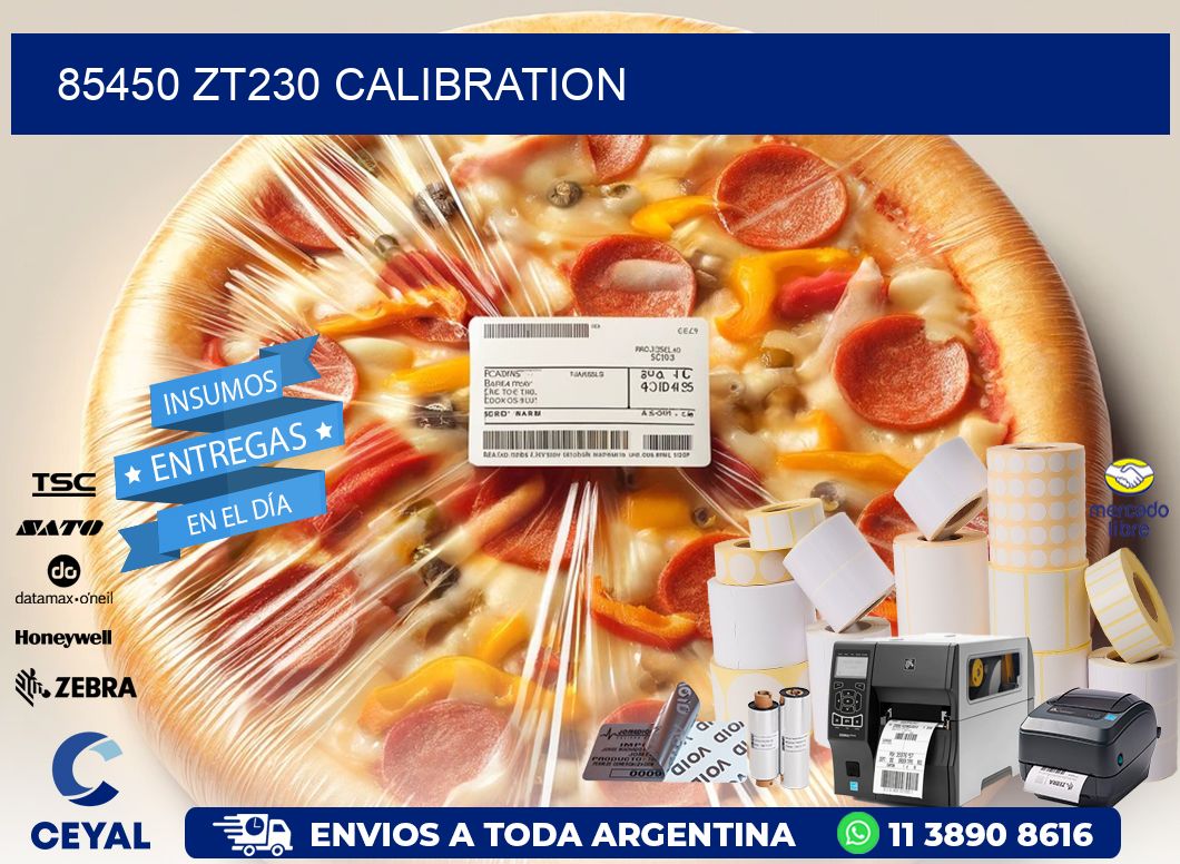 85450 ZT230 Calibration