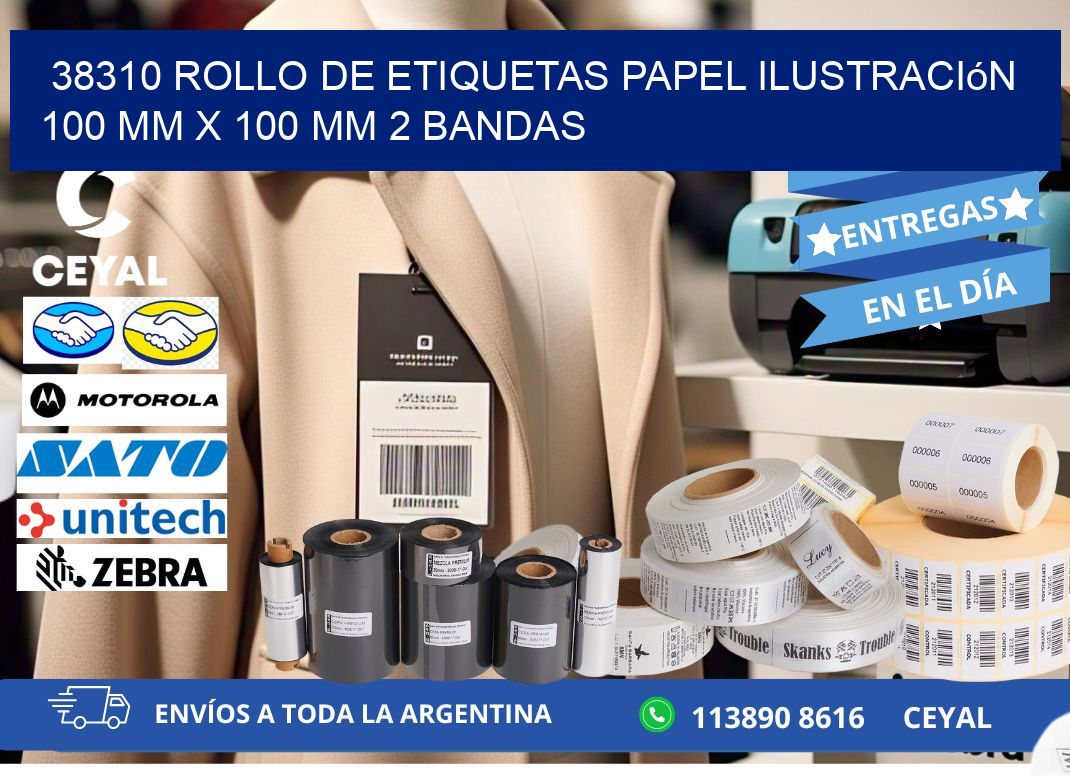 38310 Rollo de Etiquetas Papel Ilustración 100 mm x 100 mm 2 Bandas