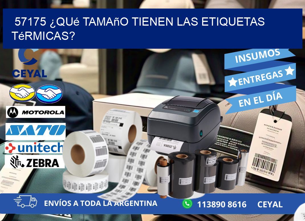 57175 ¿Qué tamaño tienen las etiquetas térmicas?