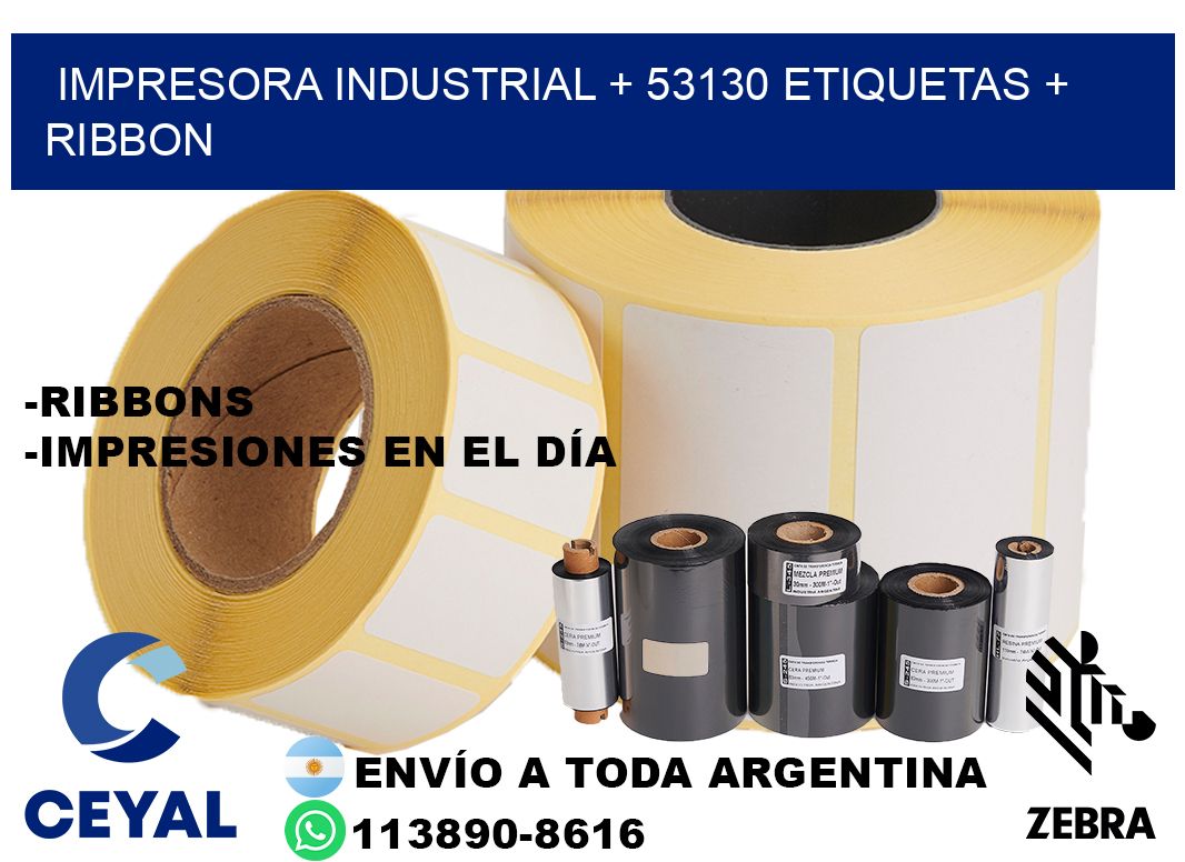 impresora industrial + 53130 etiquetas + ribbon