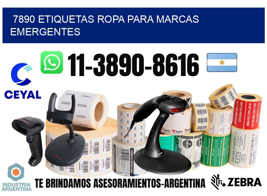7890 Etiquetas ropa para marcas emergentes