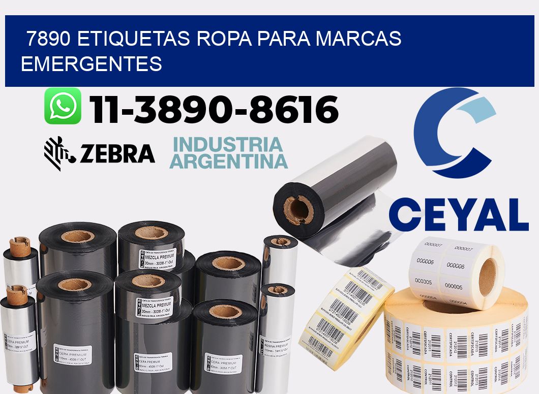 7890 Etiquetas ropa para marcas emergentes