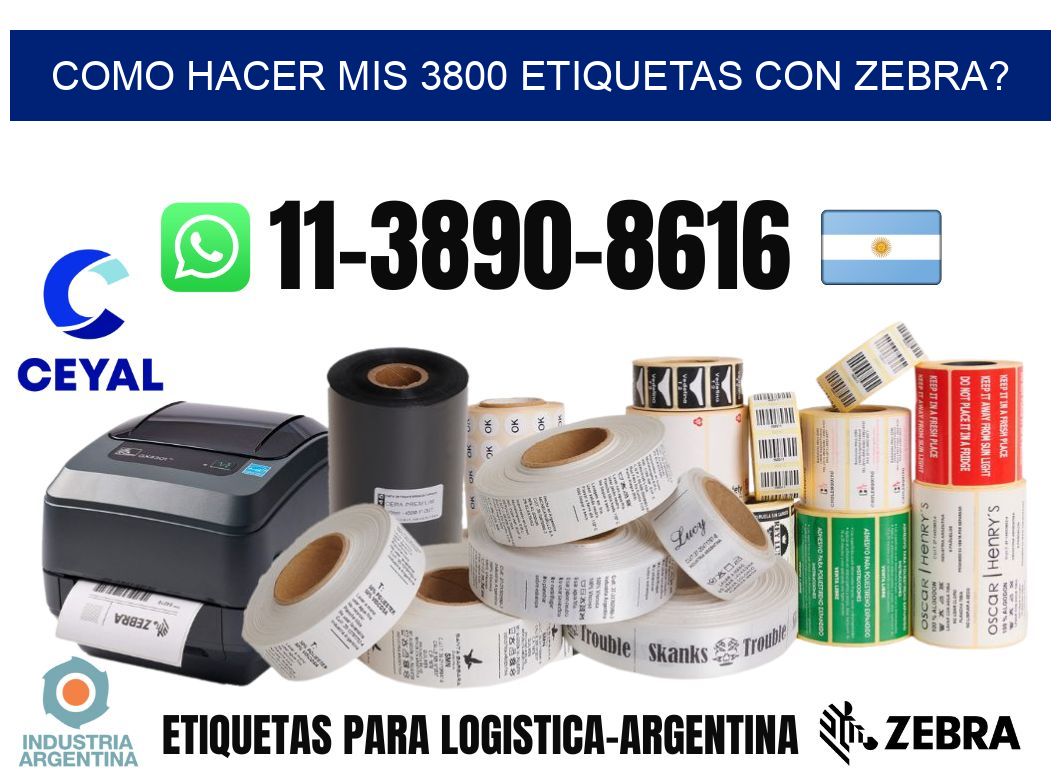 como hacer mis 3800 etiquetas con zebra?