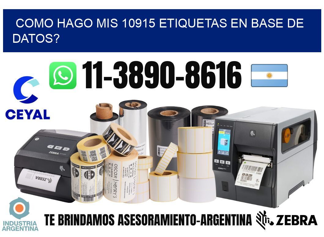 como hago mis 10915 etiquetas en base de datos?