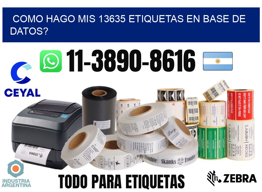como hago mis 13635 etiquetas en base de datos?