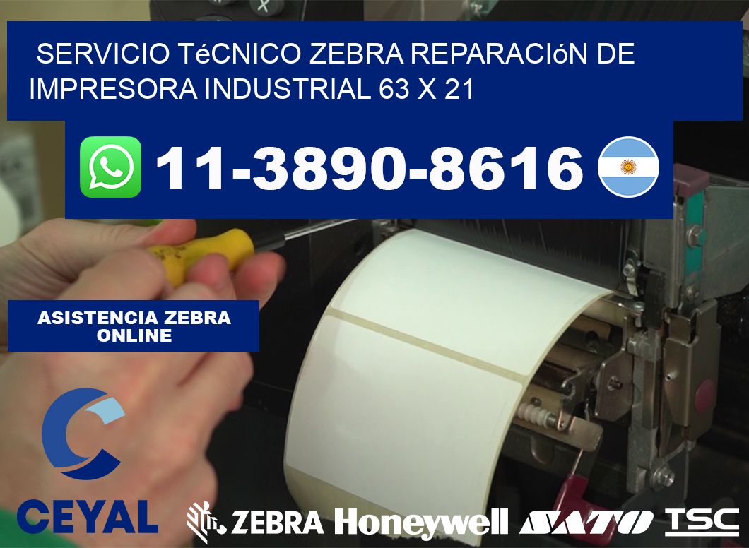 Servicio Técnico Zebra Reparación de Impresora Industrial 63 x 21