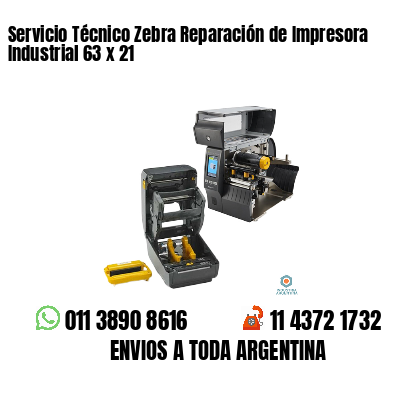 Servicio Técnico Zebra Reparación de Impresora Industrial 63 x 21