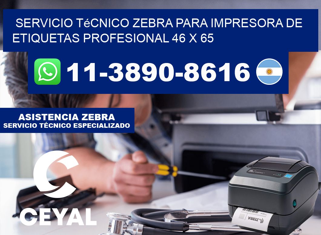 Servicio Técnico Zebra para Impresora de Etiquetas Profesional 46 x 65