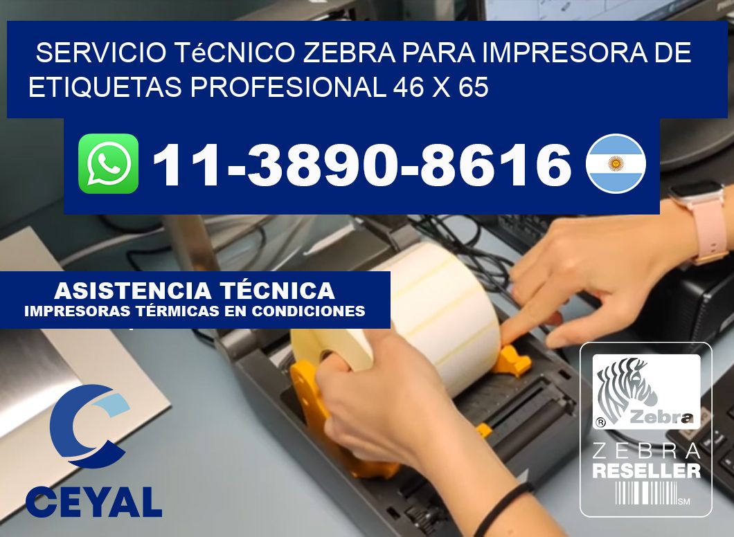 Servicio Técnico Zebra para Impresora de Etiquetas Profesional 46 x 65