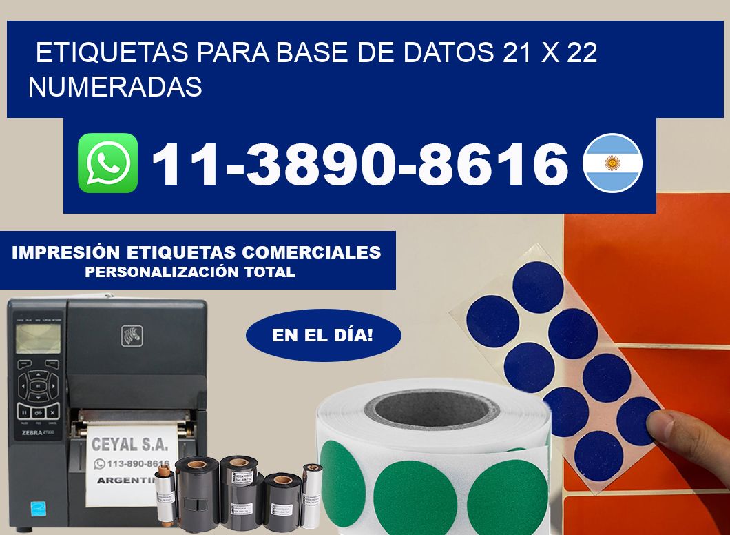 etiquetas para base de datos 21 x 22 numeradas