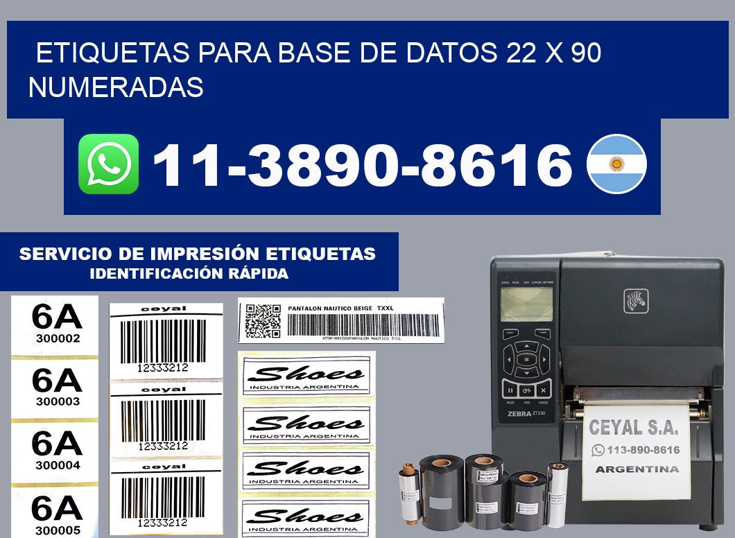 etiquetas para base de datos 22 x 90 numeradas