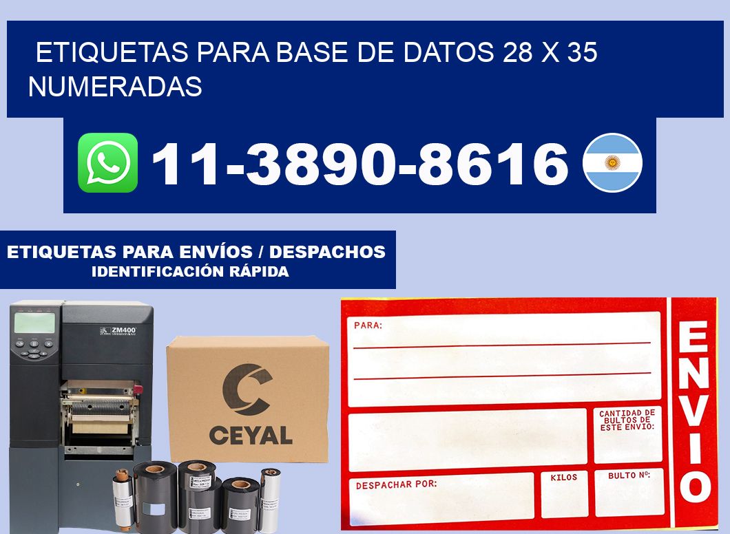 etiquetas para base de datos 28 x 35 numeradas