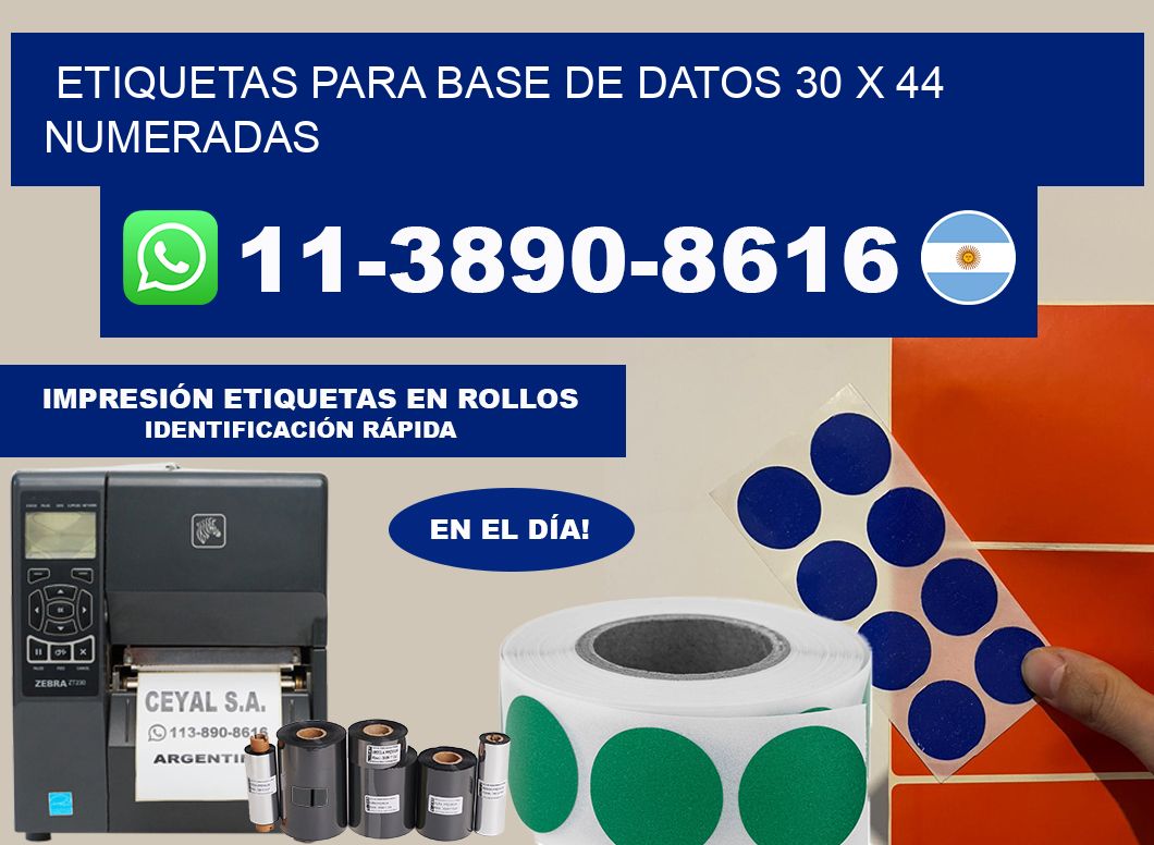 etiquetas para base de datos 30 x 44 numeradas