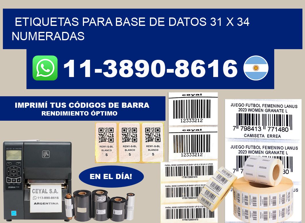 etiquetas para base de datos 31 x 34 numeradas