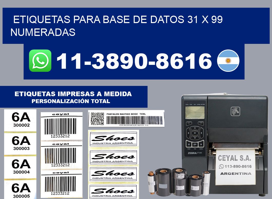 etiquetas para base de datos 31 x 99 numeradas