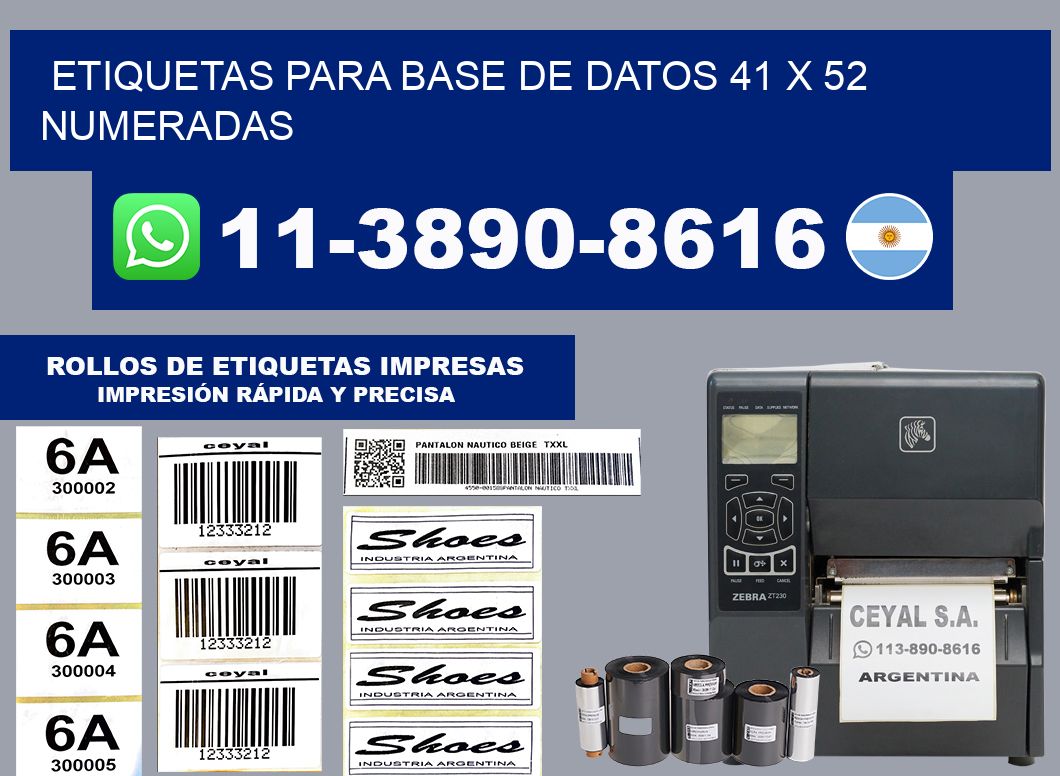 etiquetas para base de datos 41 x 52 numeradas