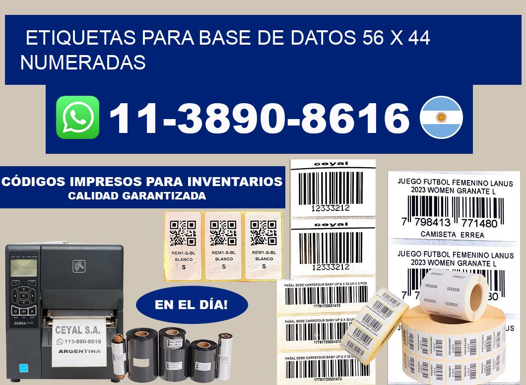 etiquetas para base de datos 56 x 44 numeradas