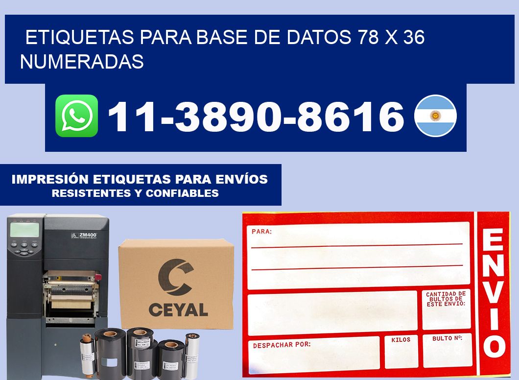 etiquetas para base de datos 78 x 36 numeradas