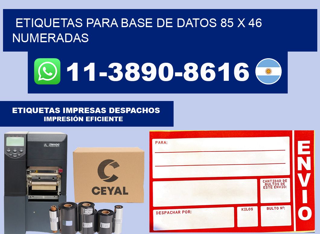 etiquetas para base de datos 85 x 46 numeradas