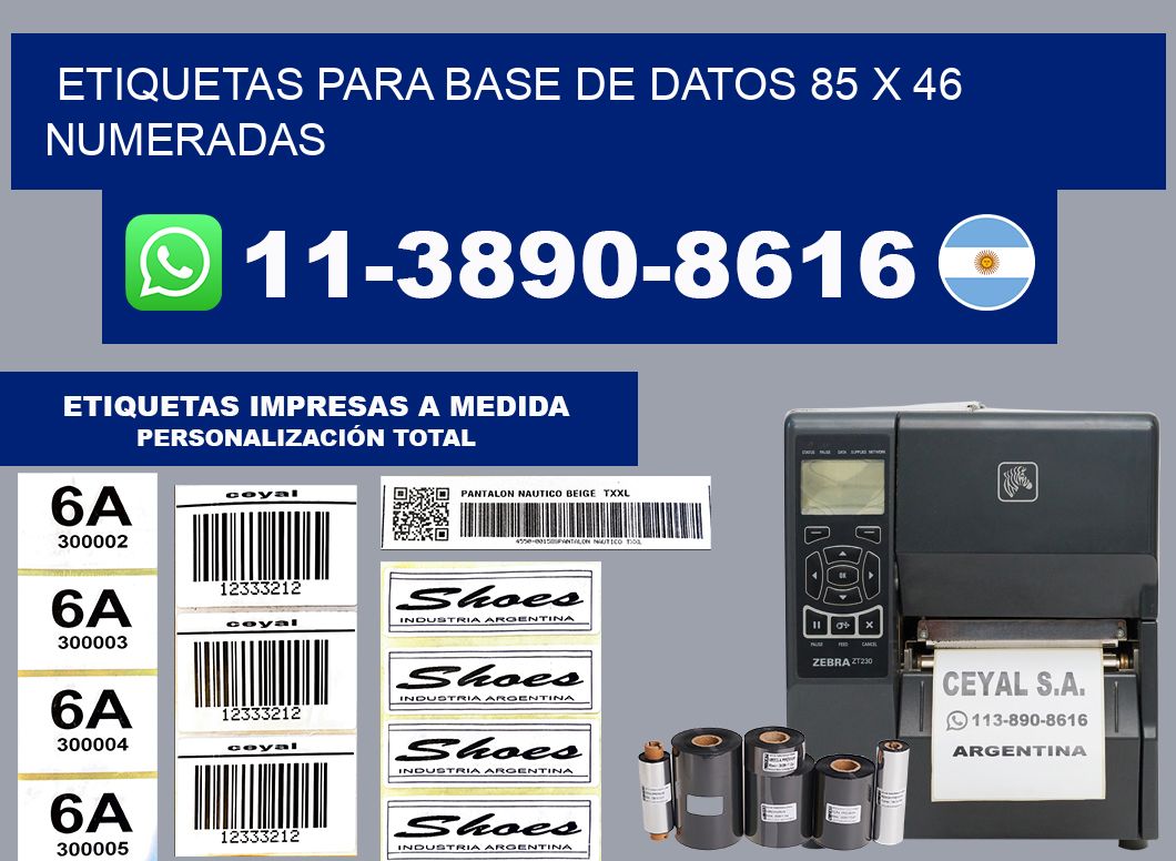 etiquetas para base de datos 85 x 46 numeradas