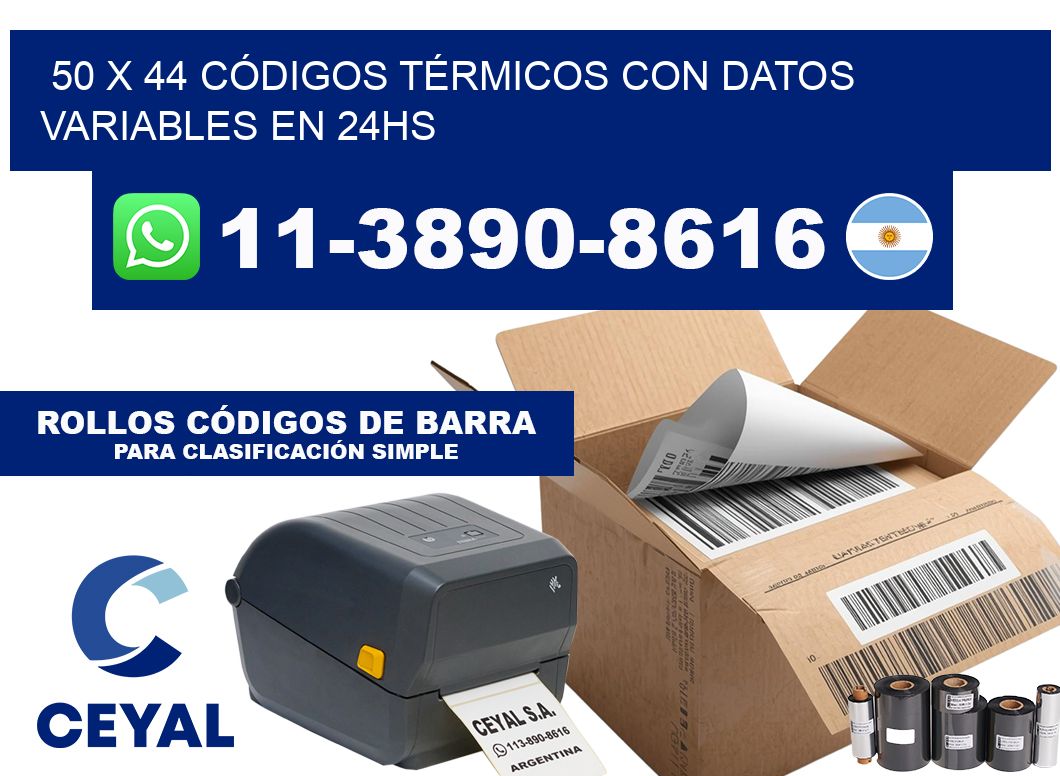 50 x 44 CÓDIGOS TÉRMICOS CON DATOS VARIABLES EN 24HS