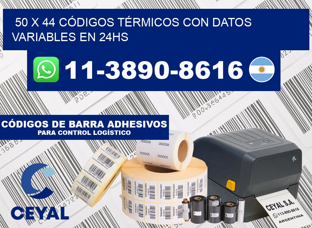 50 x 44 CÓDIGOS TÉRMICOS CON DATOS VARIABLES EN 24HS